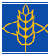 Food for the Hungry logo